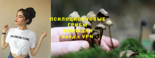 метадон Карпинск