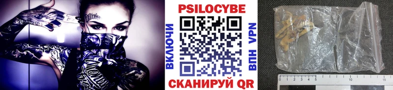 Псилоцибиновые грибы мухоморы  Купить где  Заводоуковск 